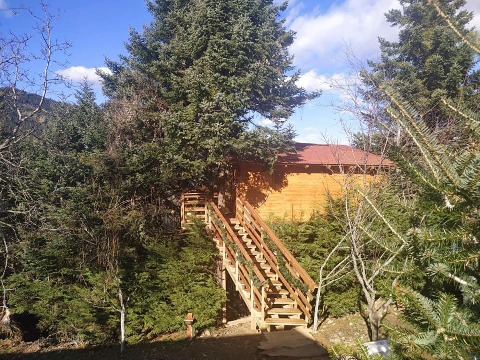Kedra Village מראה חיצוני תמונה